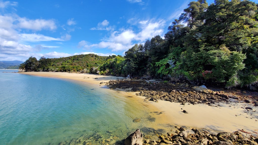 Our Favorite Places on Earth Golden Bay, New Zealand