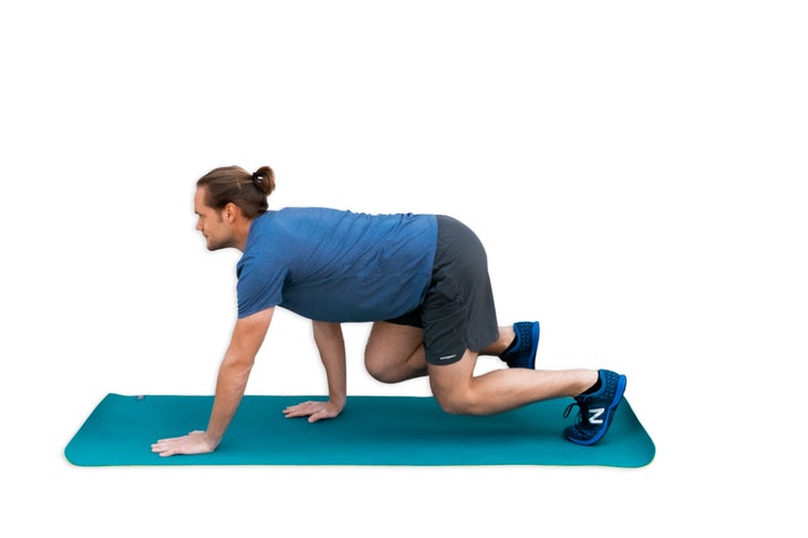 7.3 - Leopard Crawl None