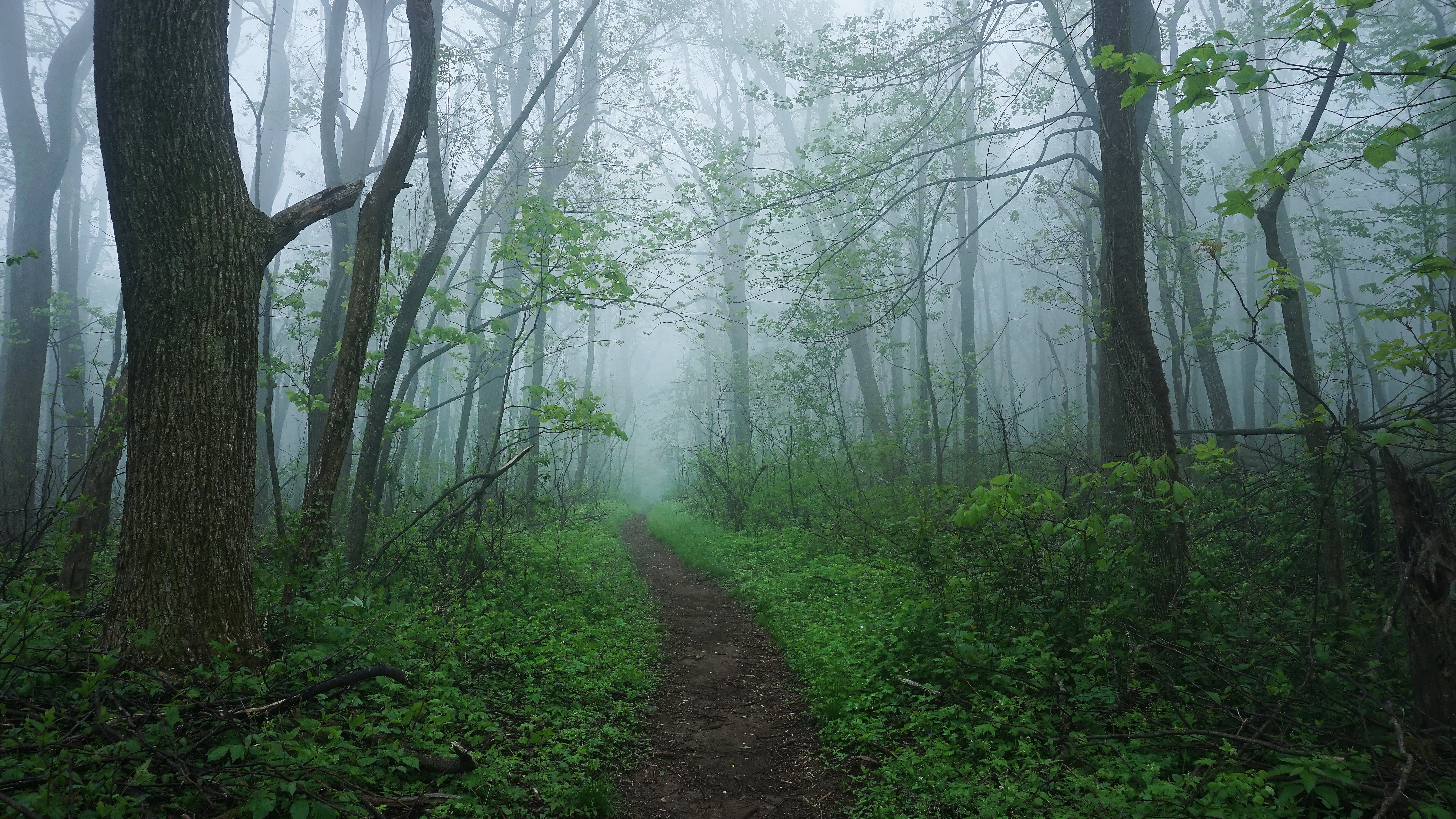 "Appalachian Trail"