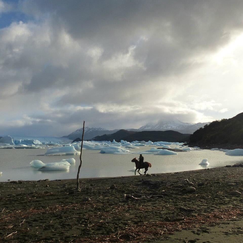 "Patagonia Horse"