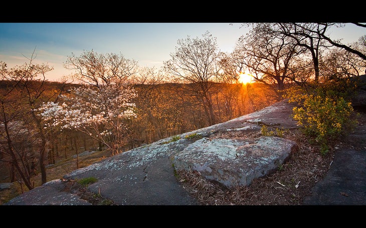 harriman None
