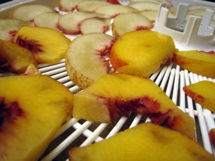 nectarines-in-dehydrator nectarines