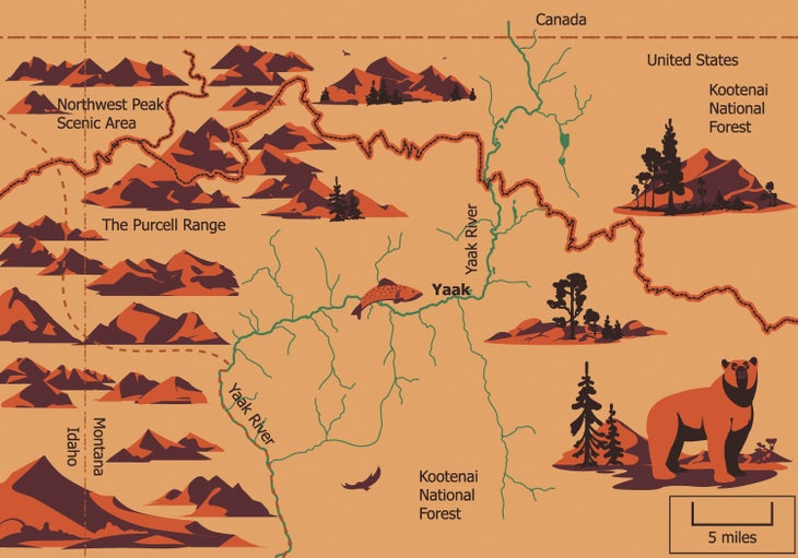 Grizzly_Map_Fall 20_Nikolai Senin Map of northwestern Montana