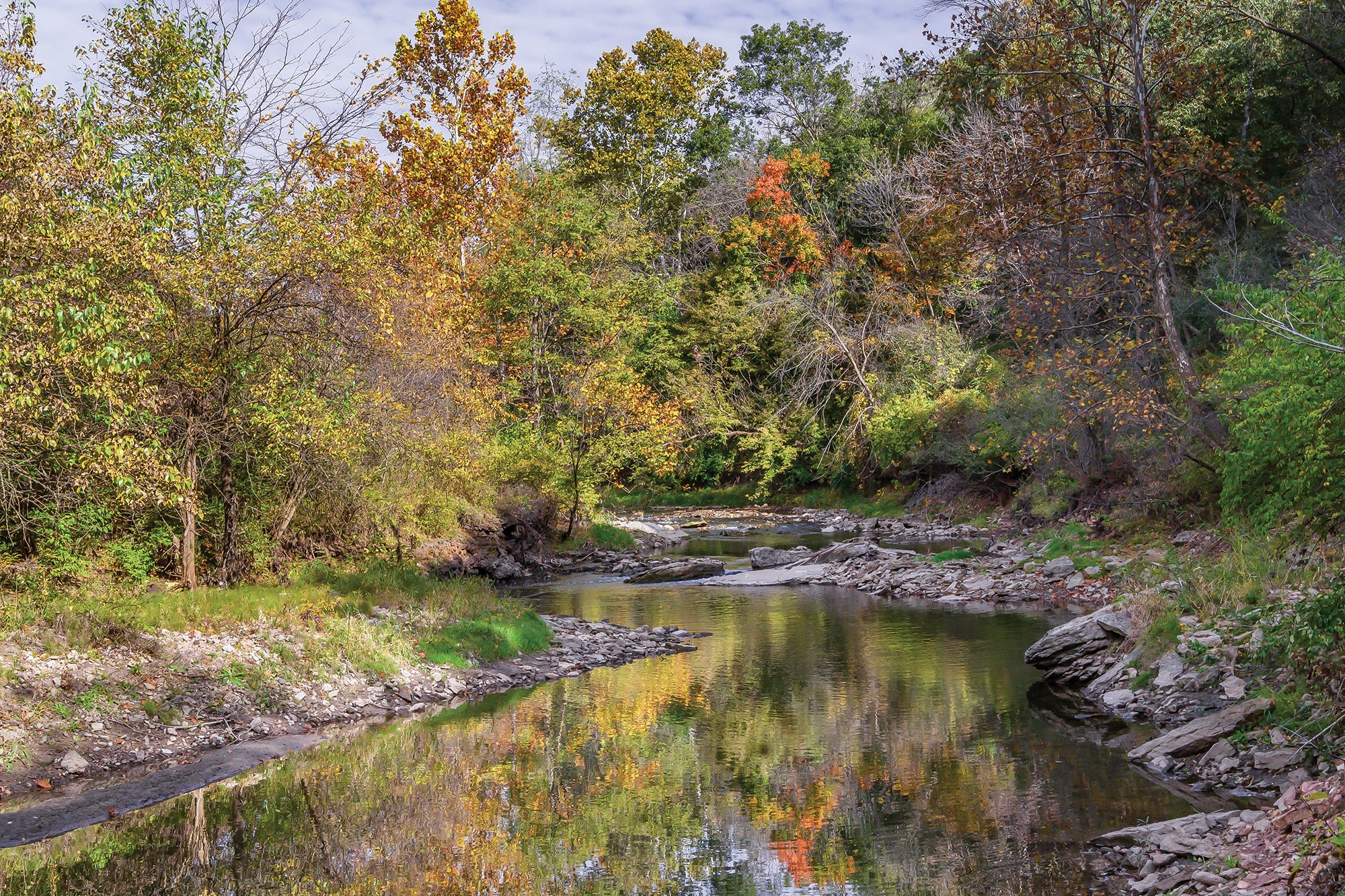 "Forest Glen Preserve, IL"
