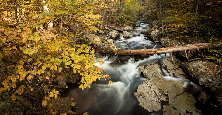 whiteoak canyon None