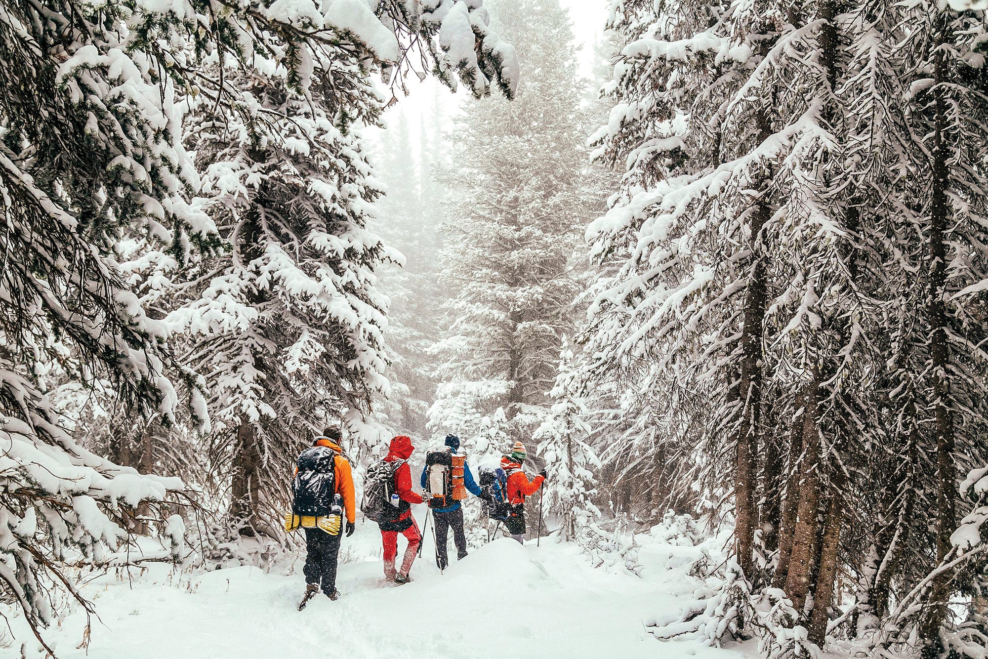 "Hikers in Snowy Forest"