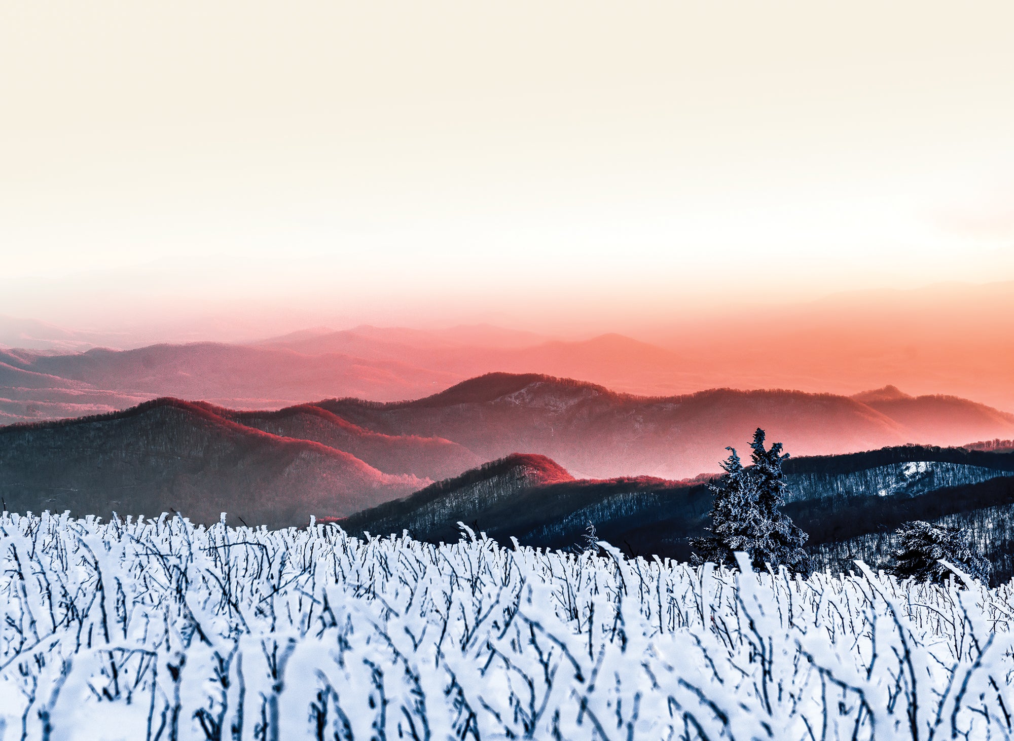 "Roan Mountain in Winter"