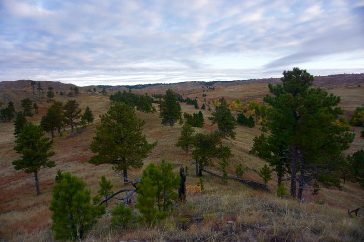 Nebraska3 None