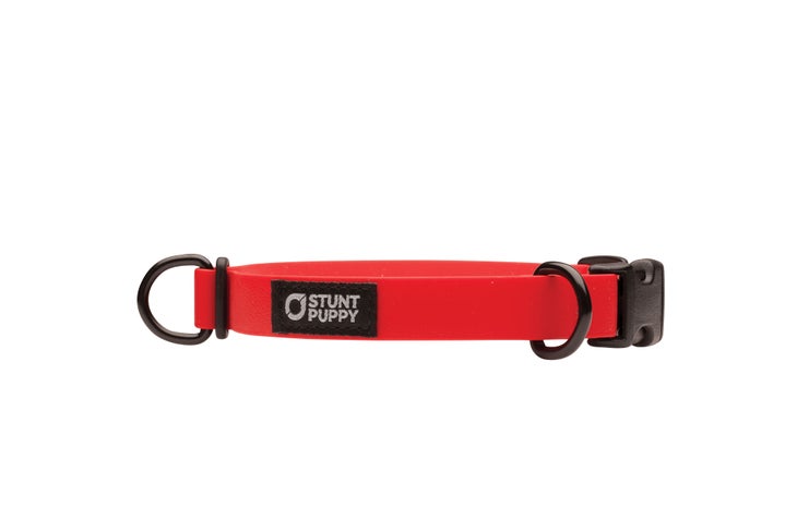 BP0319GEAR_DOG_StuntPuppy5062_gn Dog kit p.p1 Stunt Puppy Dry Collar