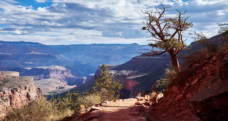 Grand Canyon, AZ national parks your kids will love