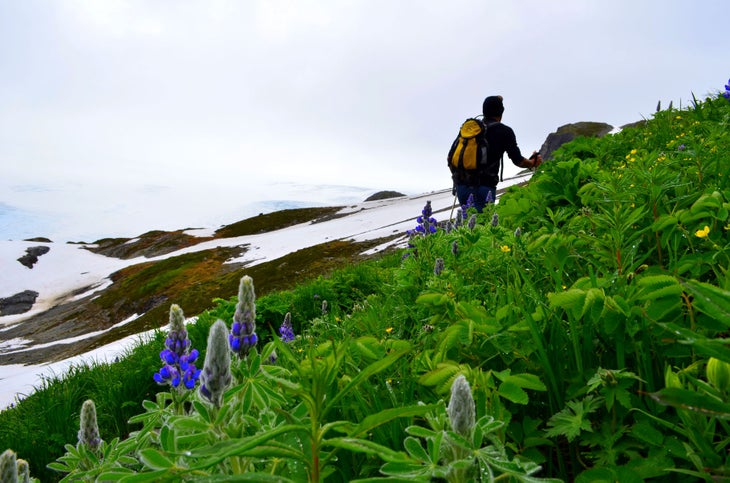 Hiker on the Harding Icefield Trail. Michal Kaminski)