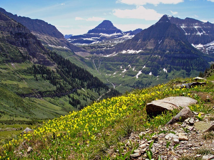 Logan Pass From The Highline Trail. Logan Pass From The Highline Trail. (Lawrence Stolte)