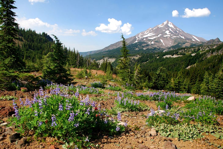 Mount Jefferson View of Mount Jefferson from the Pamelia Lake Loop, Oregon. (Brian Zimmer)
