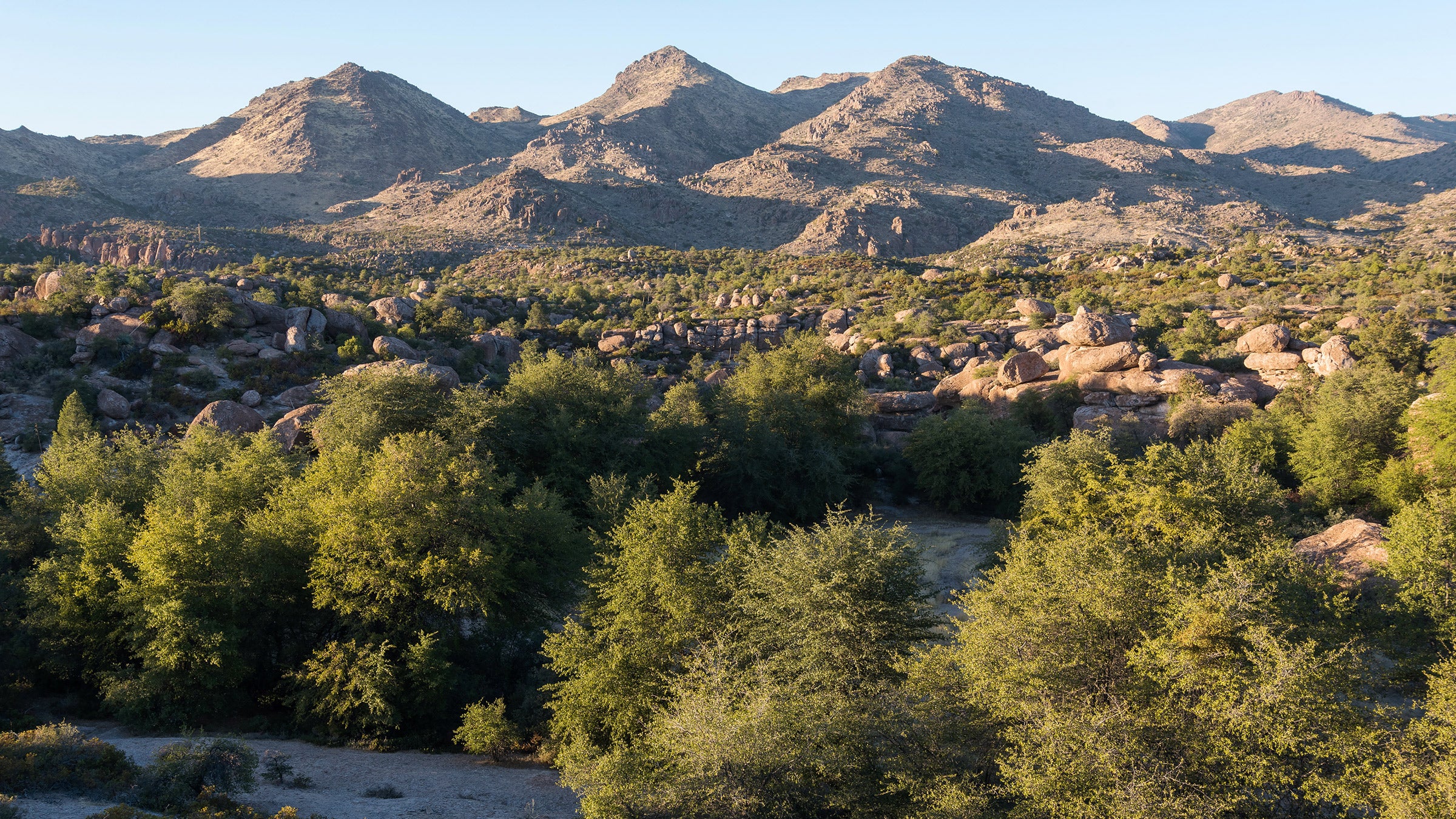 desert around Oak Flat, Arizona