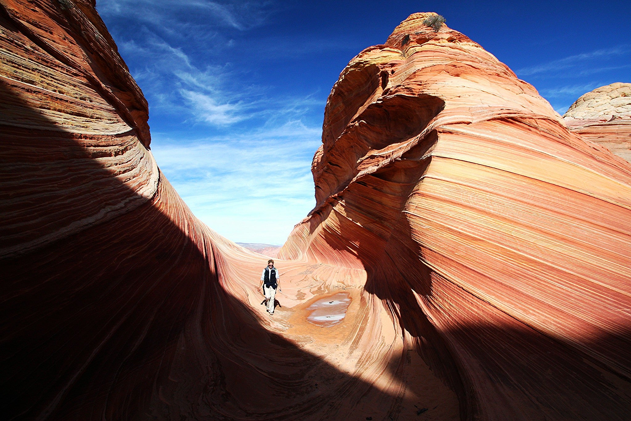 "The Wave sandstone formation"