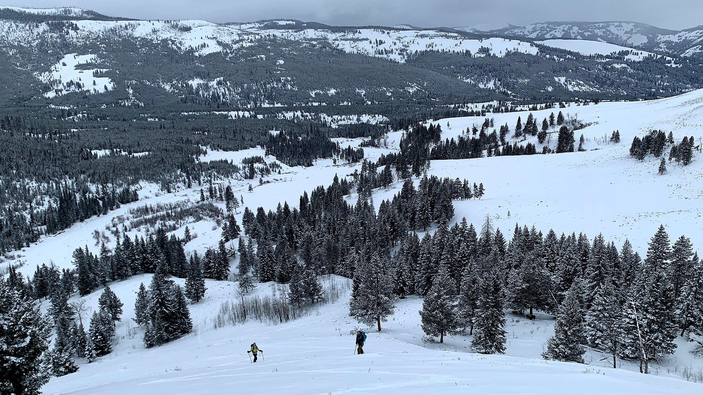 The view from the skin track in Yellowstone