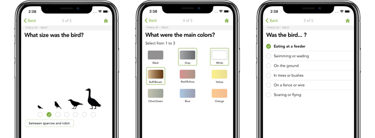 Merlin App