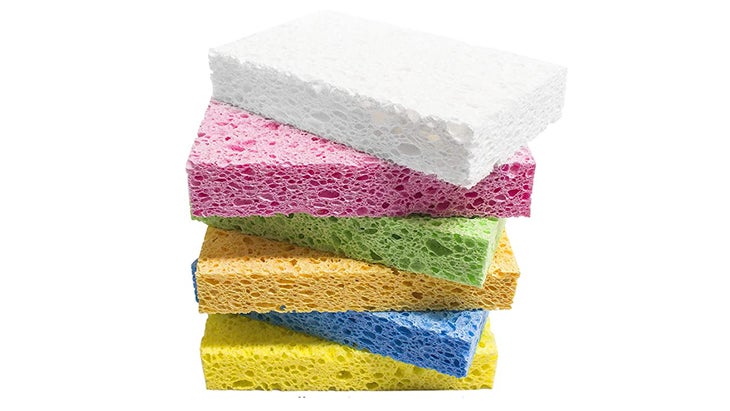 Sponges