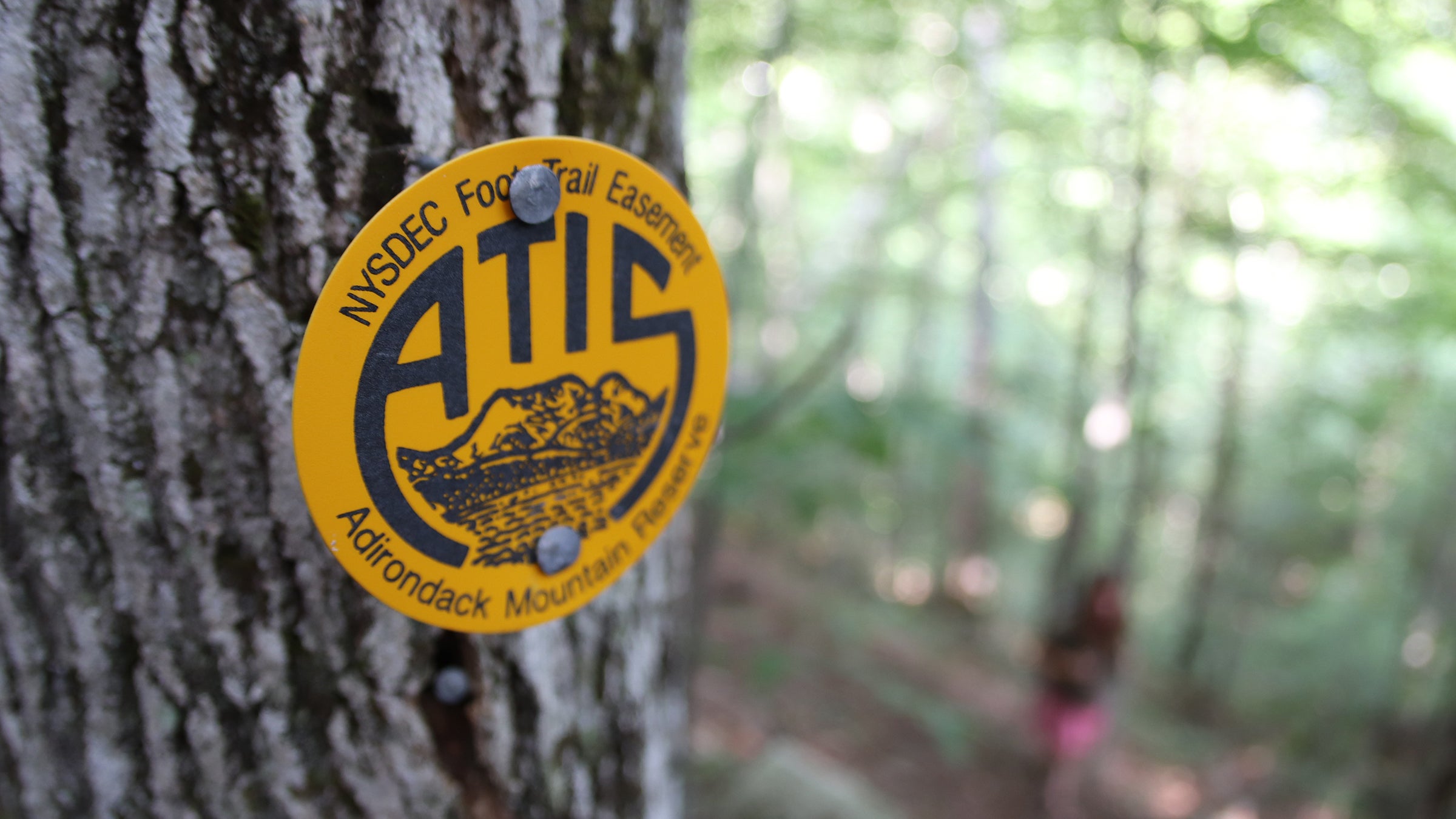 adirondack mountain reserve trail marker
