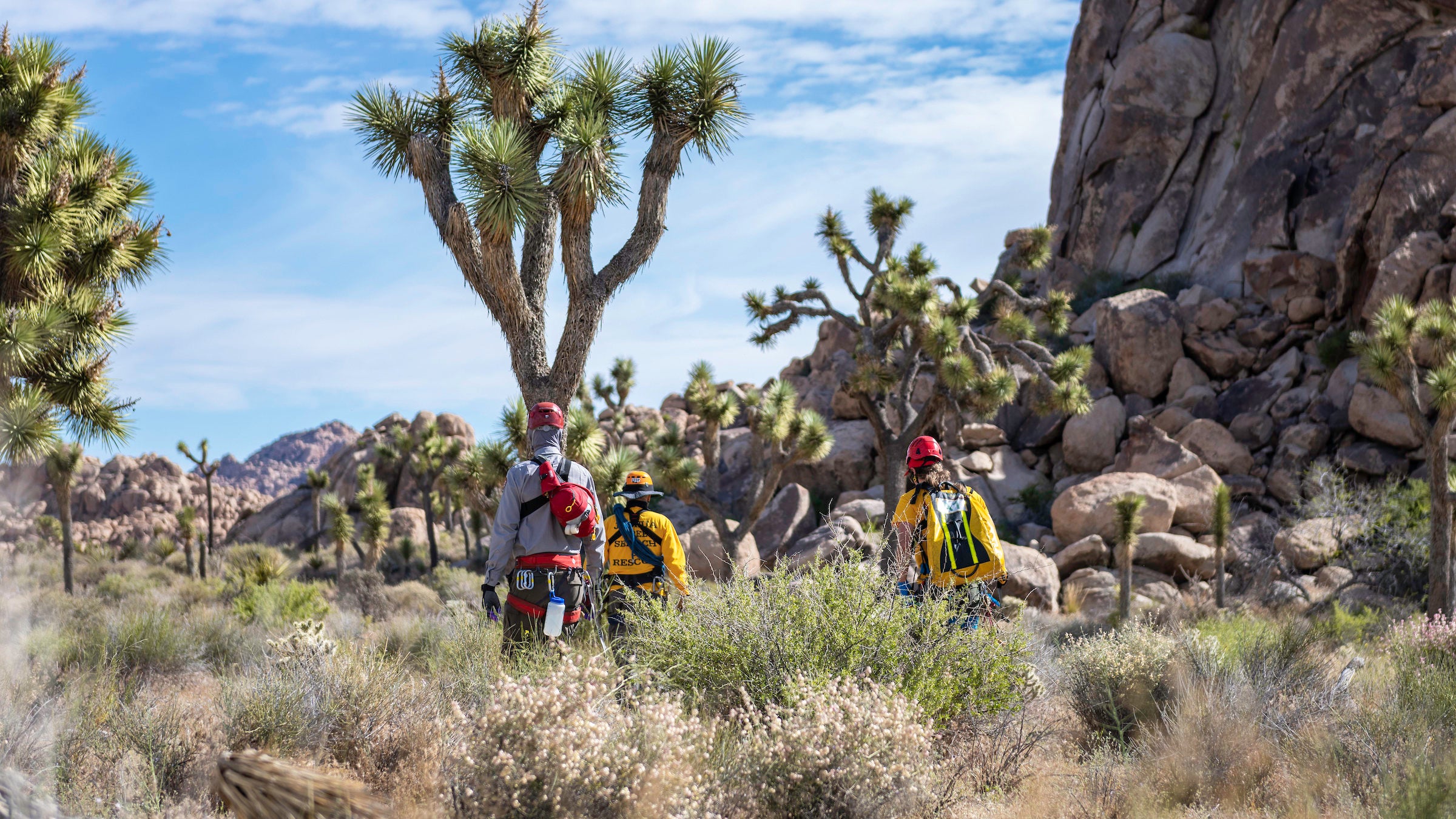search and rescue in Joshua Tree