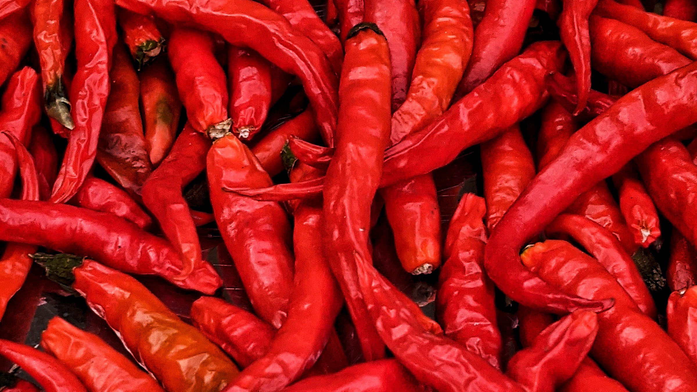Dried Chile Peppers