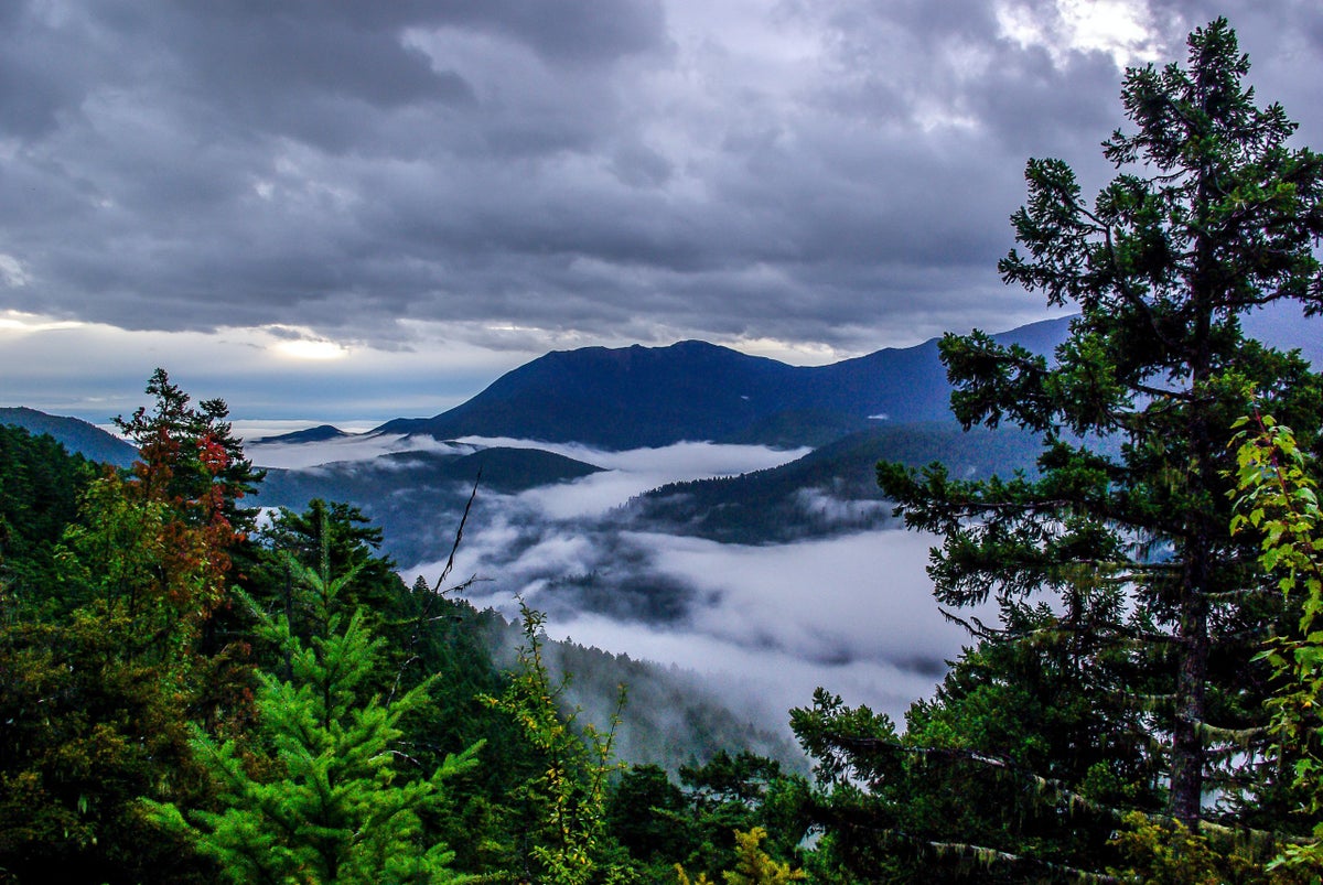 the-hoh-rainforest-is-one-of-america-s-rainiest-and-greatest-hikes-backpacker