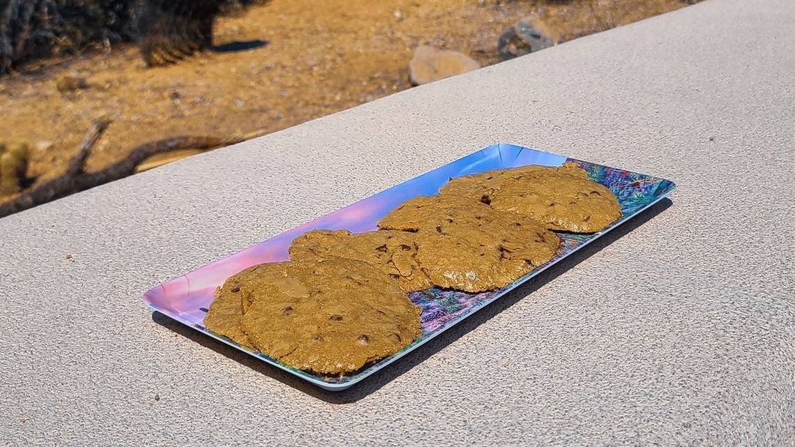 Cookies in a desert landscape
