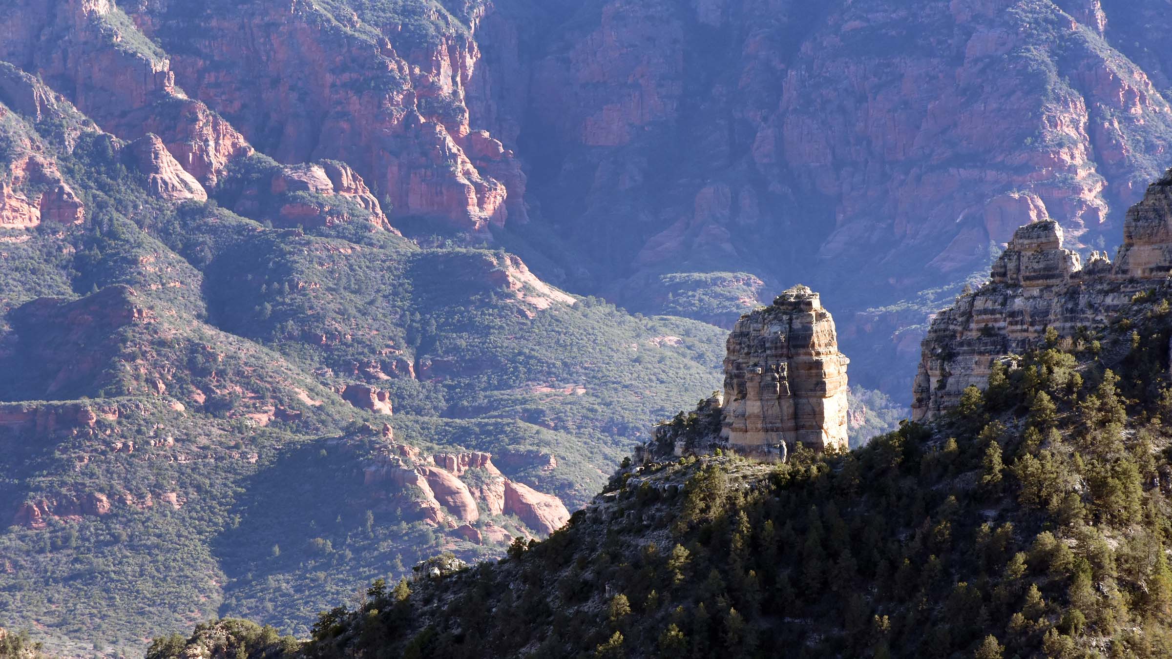 Kaibab National Forest