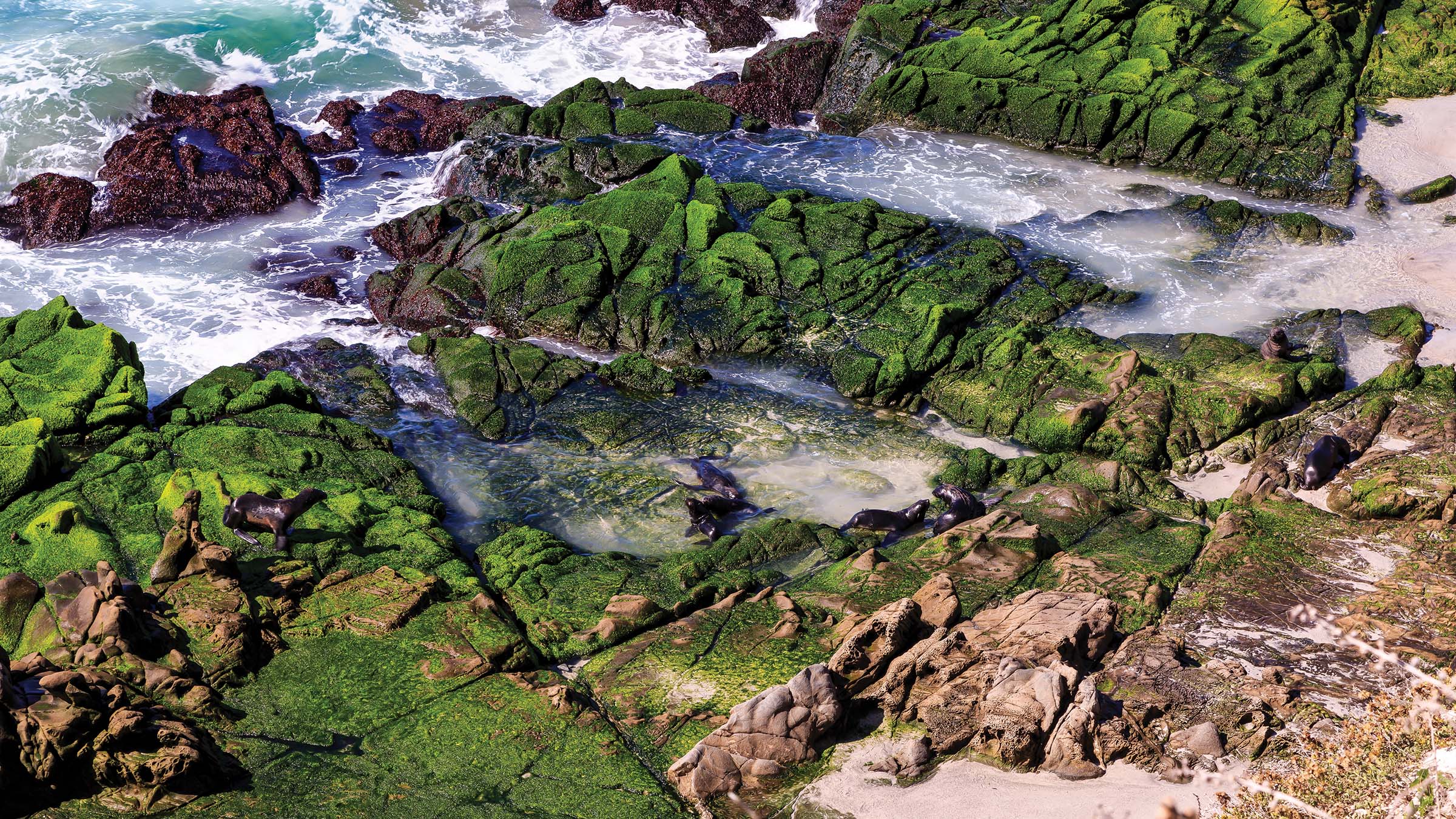 channel islands coast