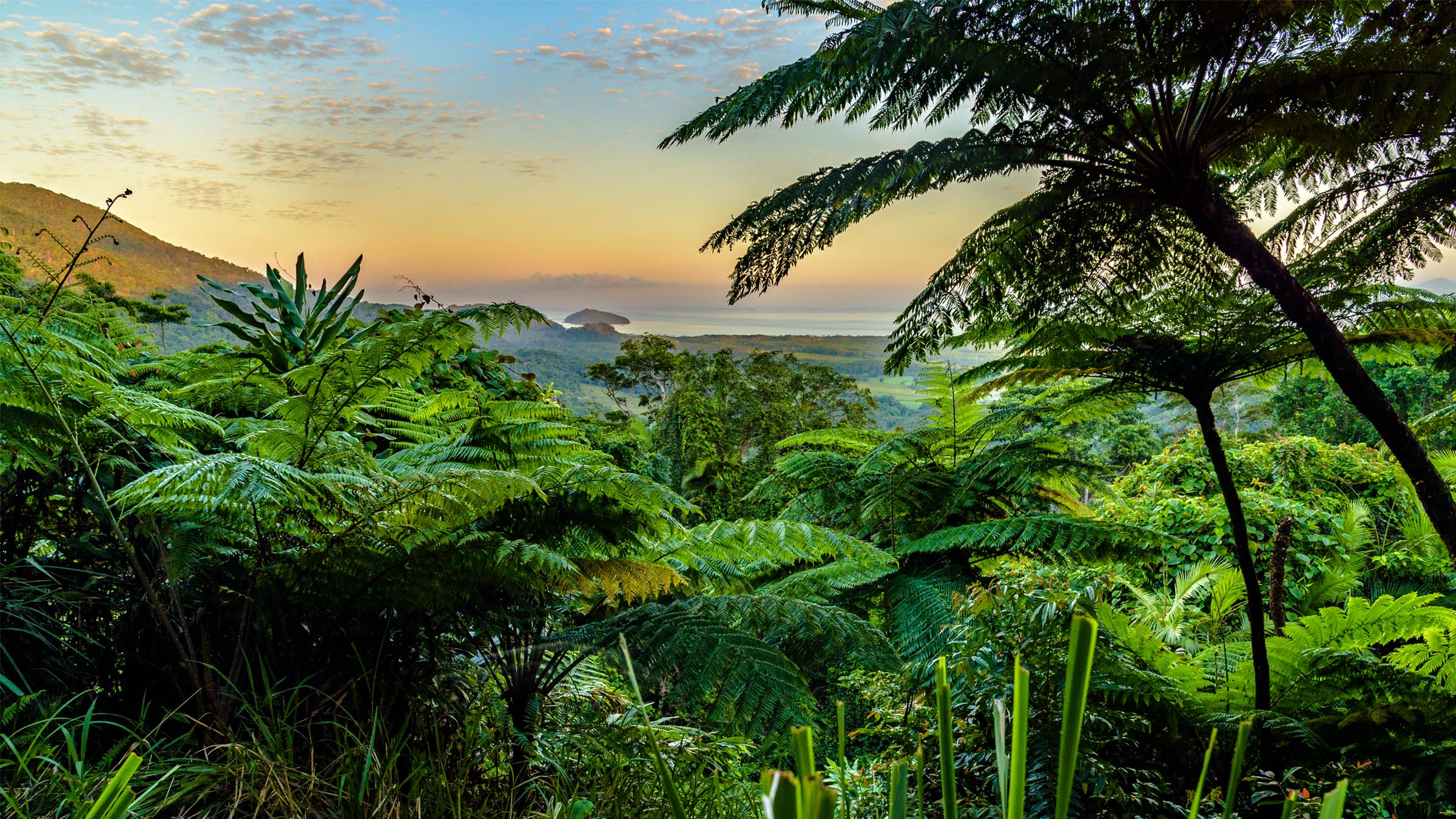 Daintree National Park