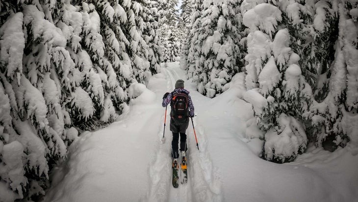 Ski touring best winter packs of 2022