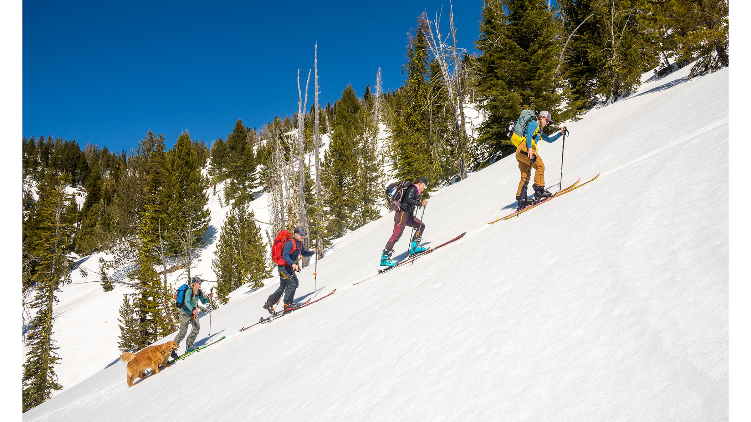 Emma Murray, Zoe Gates, Aaron Schorsch and Kelly McNeil skinning on the flanks of Burger Butte, Wallowa-Whitman National Forest, La Grande, Oregon.