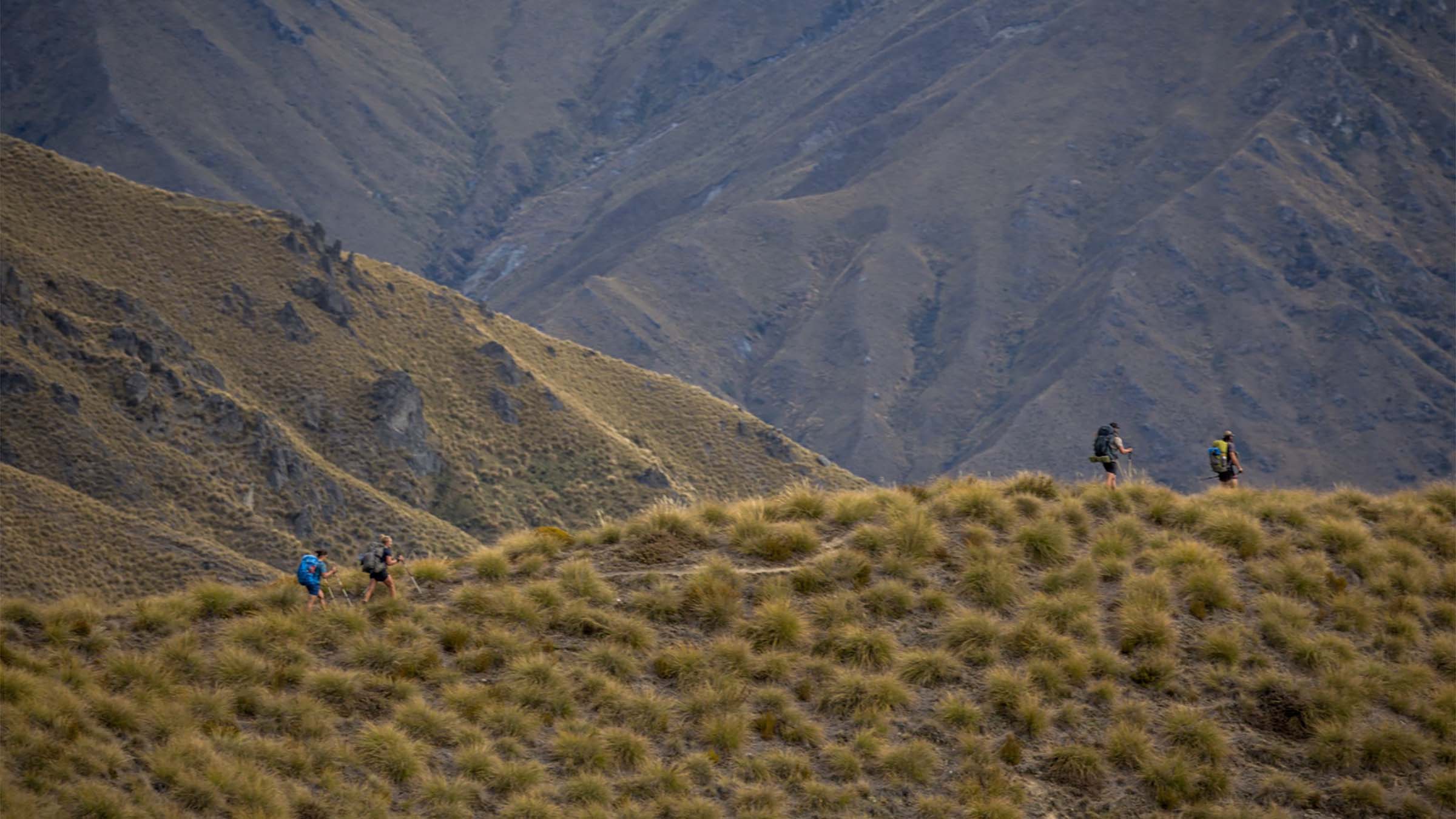 comfort-theory-landscape