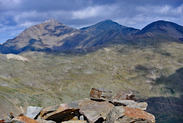 Grays group from Mount Wilcox