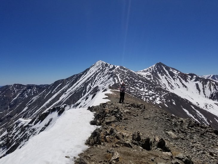 Torrey and Grays from Grizzly Peak