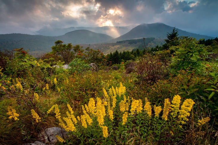 Sam Knob on the Art Loeb Trail