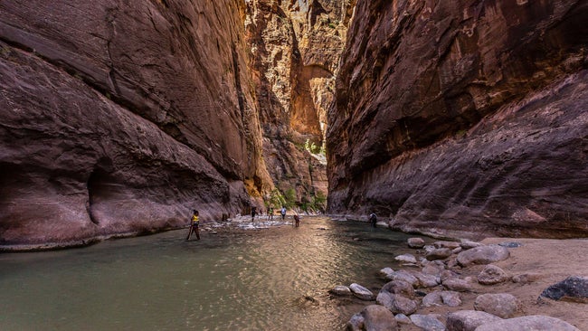 zion narrows hikers