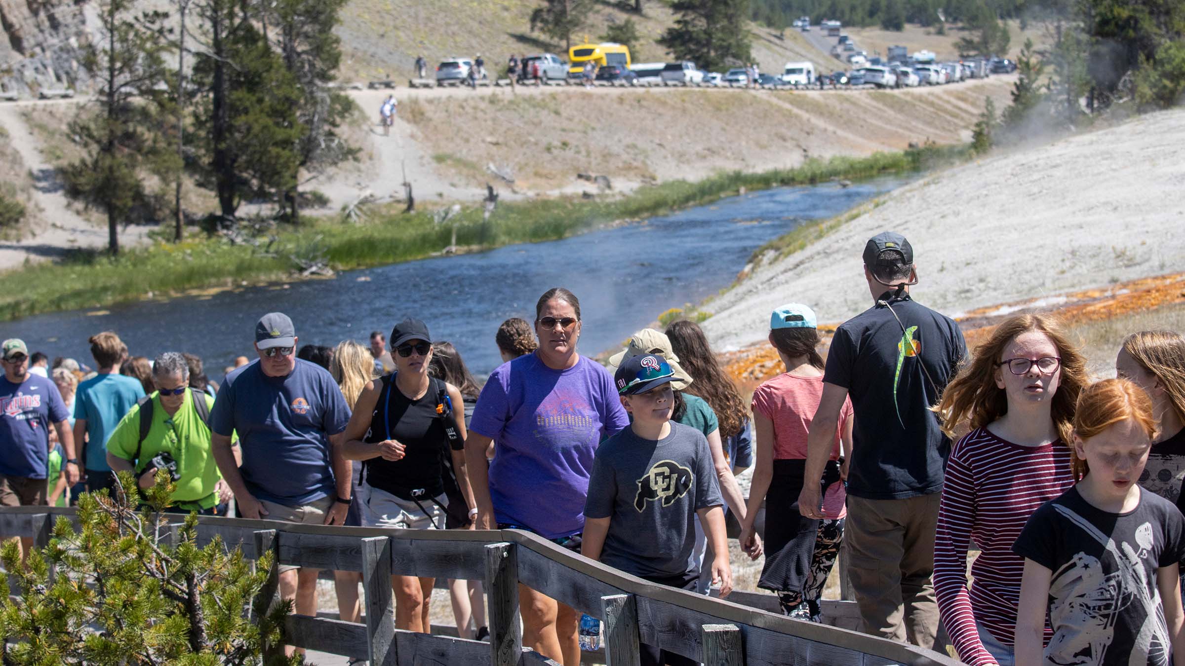 Yellowstone Crowd