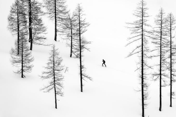 backcountry touring within trees
