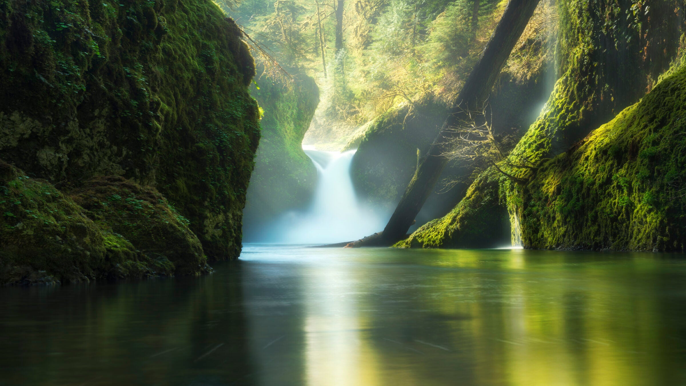 Punchbowl Falls as seen from the Eagle Creek Trail, flowing into the serene waters below.