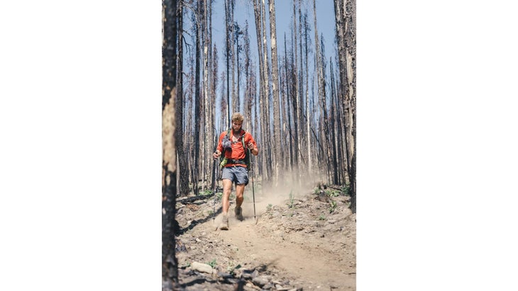 The once-green landscapes transformed into a mix of burned-out dust and deadfall.