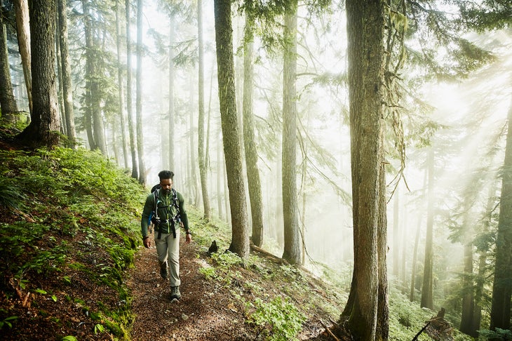 Man hiking along trial in forest on foggy morning