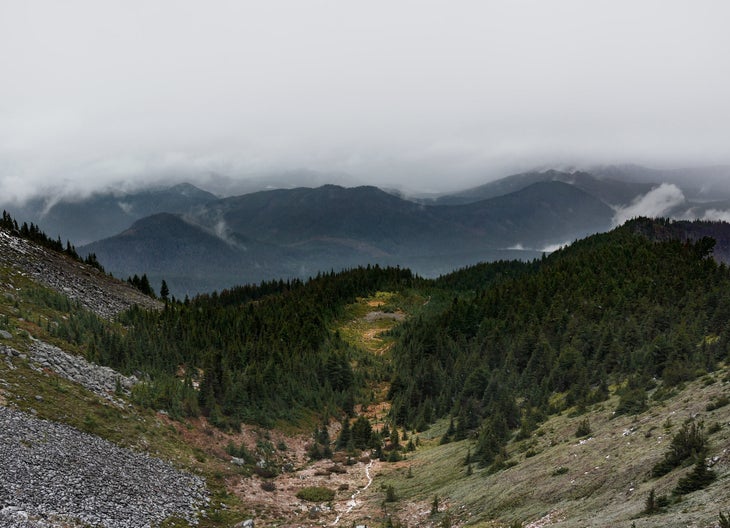 McNeil Point Trail