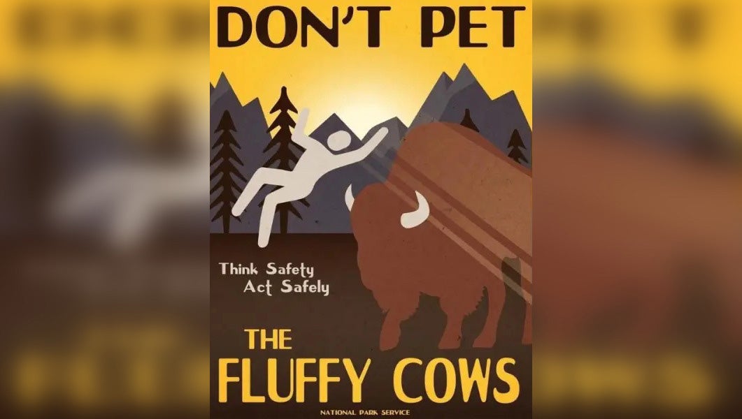 The NPS Has a Message for Visitors "Don't Pet the Fluffy Cows