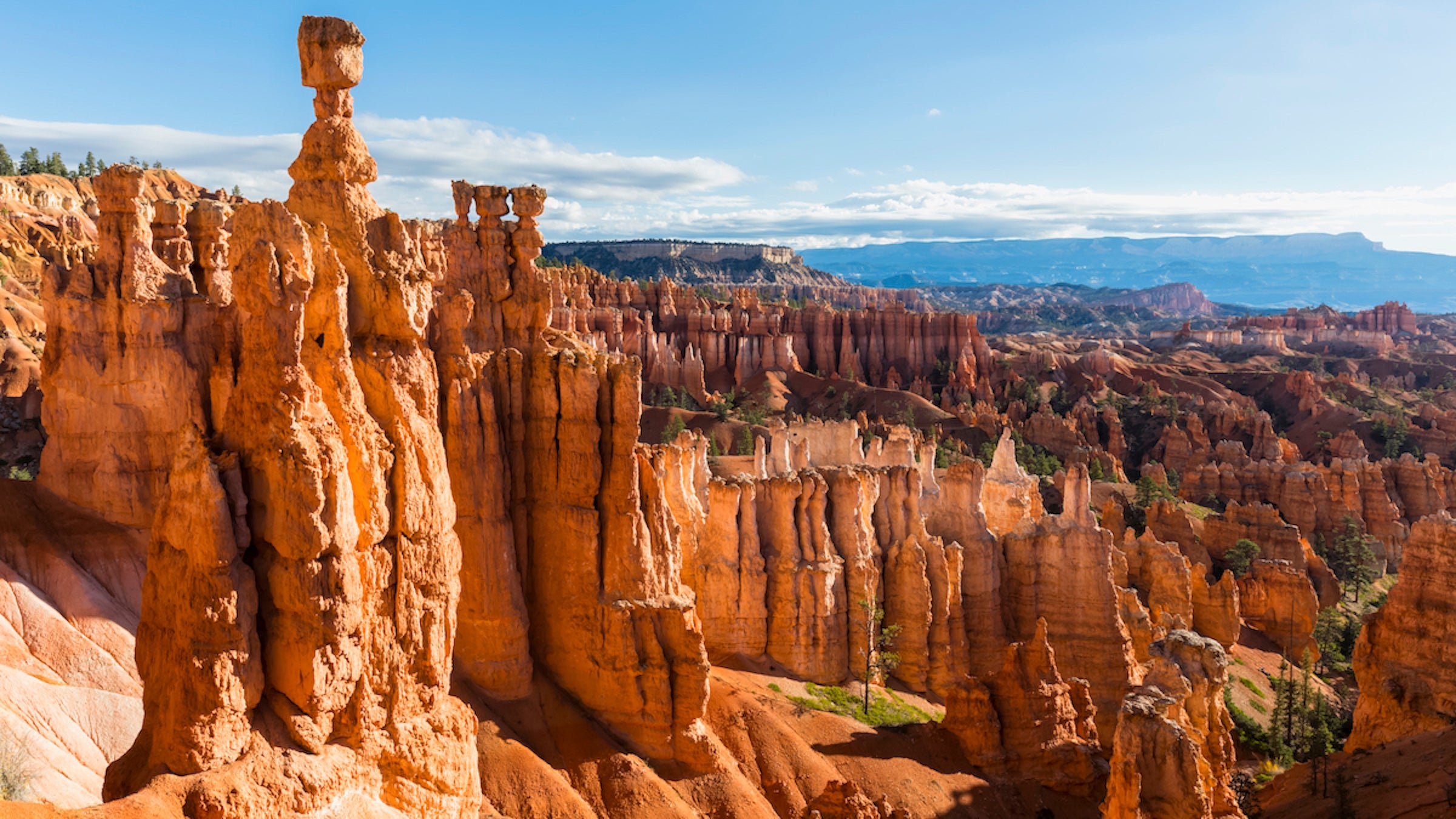 hoodoo formations in bryce canyon national park in utah