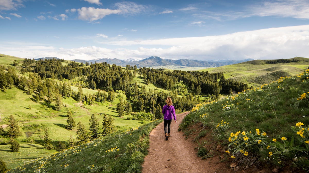 A woman hiking on a summer day in Montana
