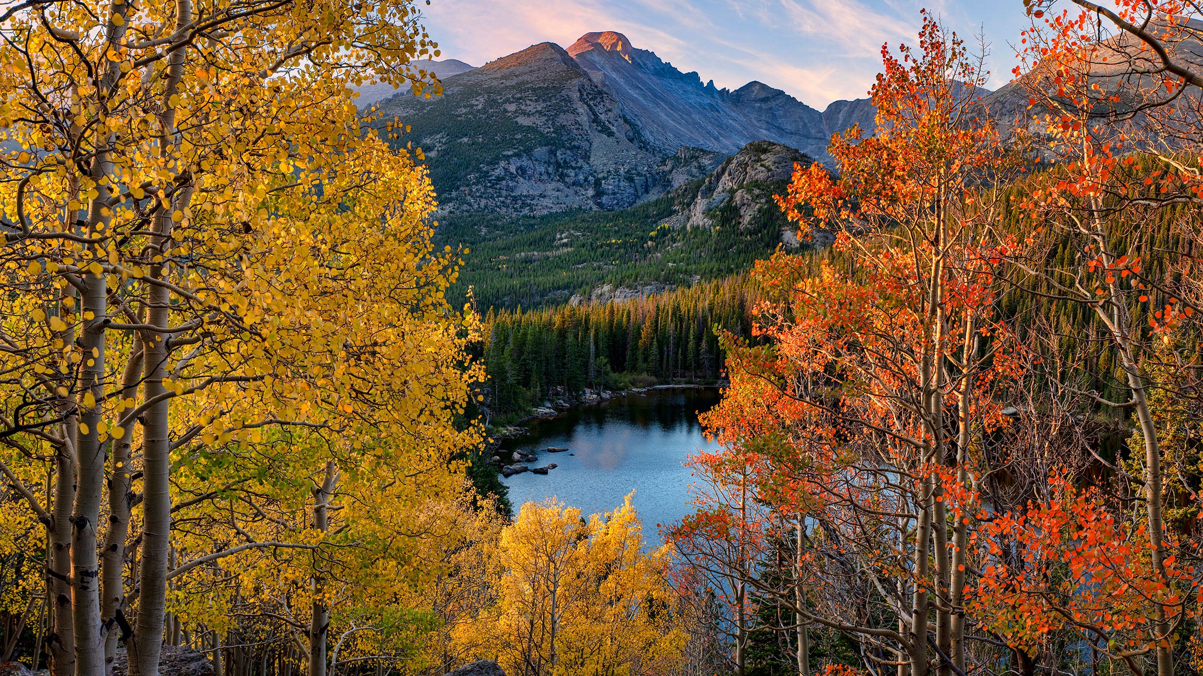Rocky Mountain Leaves