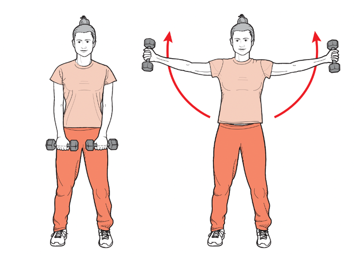 scapular raise illustration