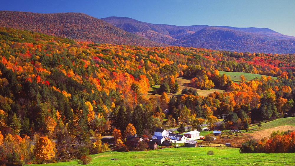 Autumn foliage in the Bershire Hills region of Massachusetts. Photo taken from a scenic viewpoint of the Mount Greylock Range during the peak fall foliage season.