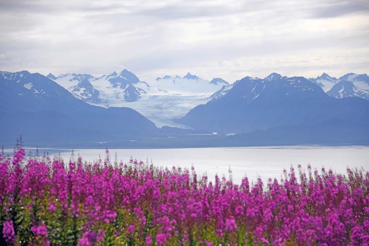 Kachemak Bay